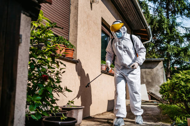 Best Termite Control Services  in Choctaw Lake, OH