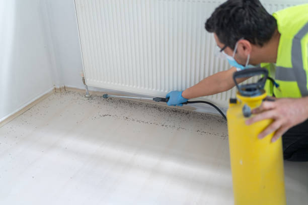 Best Emergency Pest Control  in Choctaw Lake, OH